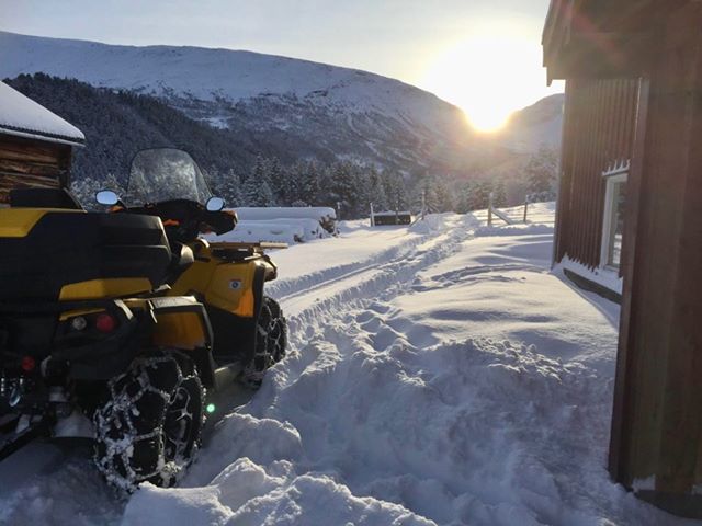 石橋さんのお宅